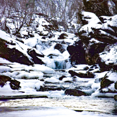 DALL·E-2023-02-06-14.07.12-photo-of-a-waterfall-in-abisko-national-park-in-sweden