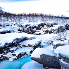 DALL·E-2023-02-06-15.06.16-photo-of-abisko-national-park-in-sweden
