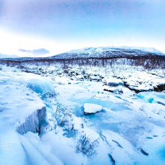 DALL·E-2023-02-06-15.18.50-photo-of-abisko-national-park-in-sweden