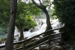 IMG_20220822_084547